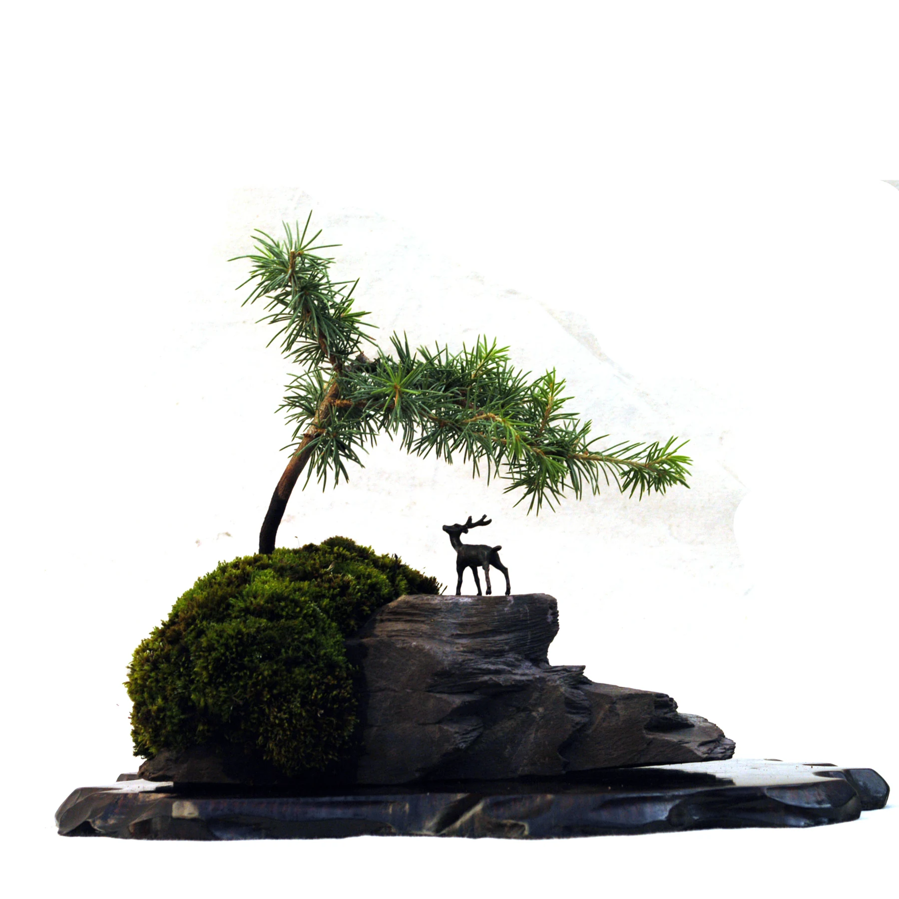 205: Root-On-Rock Bonsai*